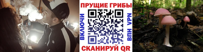 где найти наркотики ссылка на мегу ONION Псилоцибиновые грибы Psilocybe Фурманов